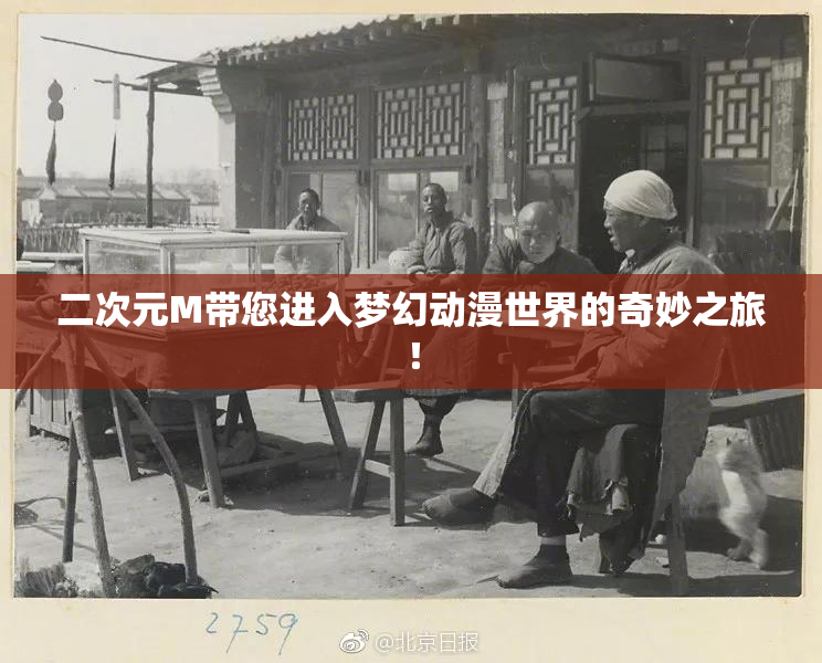 二次元M带您进入梦幻动漫世界的奇妙之旅！