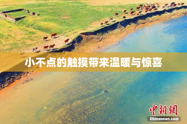 小不点的触摸带来温暖与惊喜