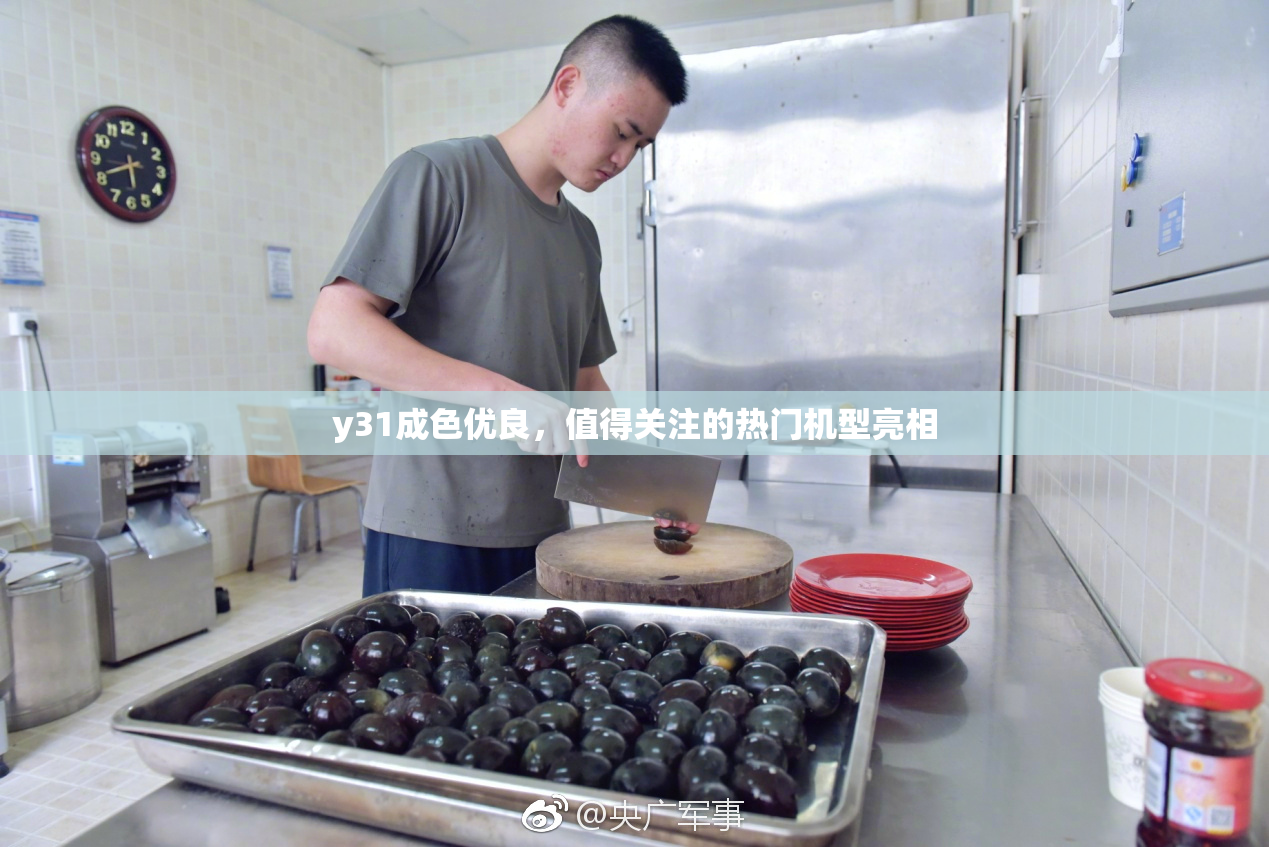 y31成色优良，值得关注的热门机型亮相