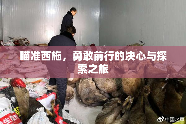瞄准西施，勇敢前行的决心与探索之旅
