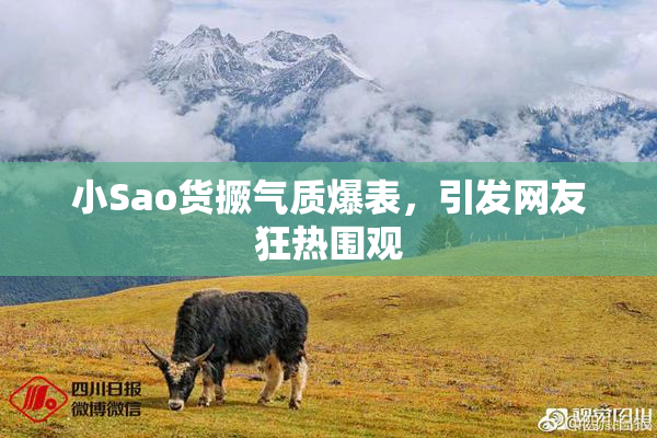 小Sao货撅气质爆表，引发网友狂热围观