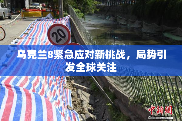 乌克兰8紧急应对新挑战，局势引发全球关注