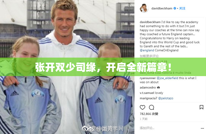张开双少司缘，开启全新篇章！
