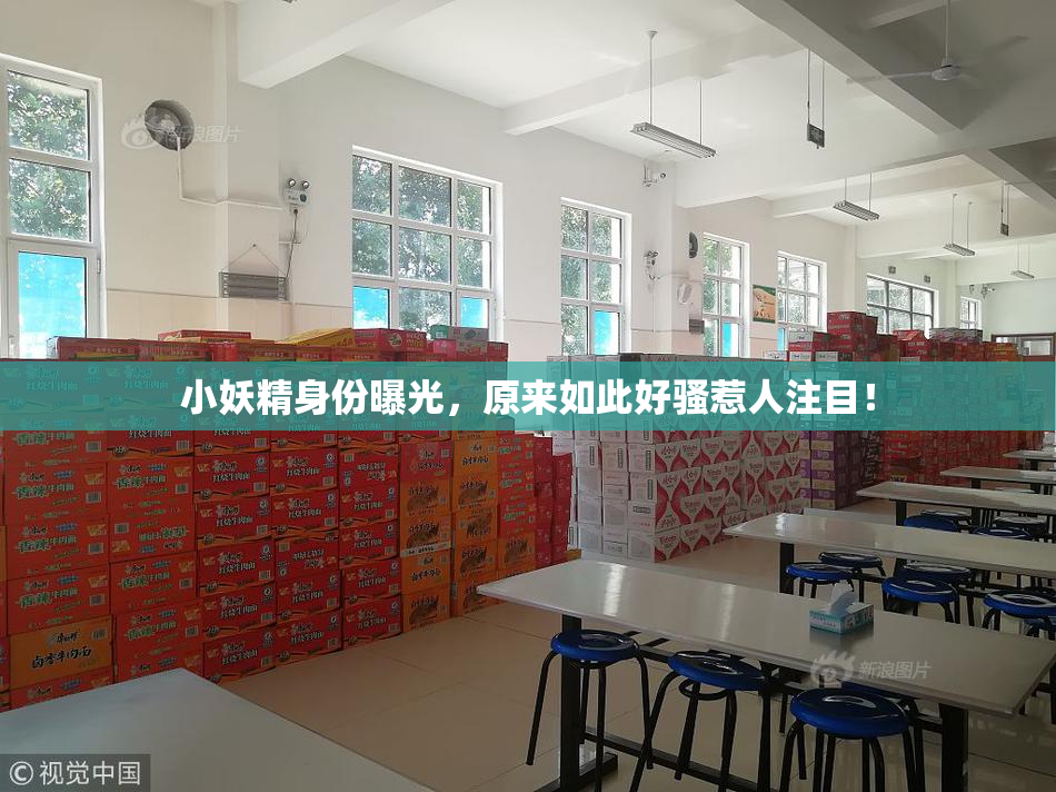 小妖精身份曝光，原来如此好骚惹人注目！