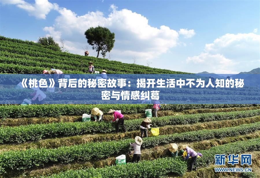 《桃色》背后的秘密故事：揭开生活中不为人知的秘密与情感纠葛