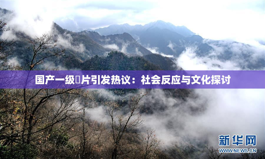 国产一级婬片引发热议：社会反应与文化探讨