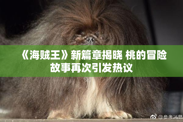 《海贼王》新篇章揭晓 桃的冒险故事再次引发热议
