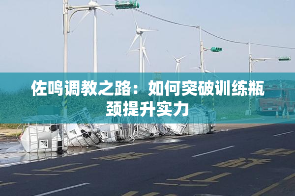 佐鸣调教之路：如何突破训练瓶颈提升实力