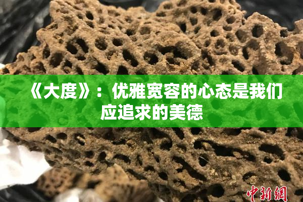 《大度》：优雅宽容的心态是我们应追求的美德