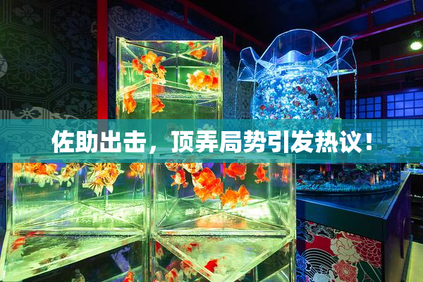 佐助出击，顶弄局势引发热议！