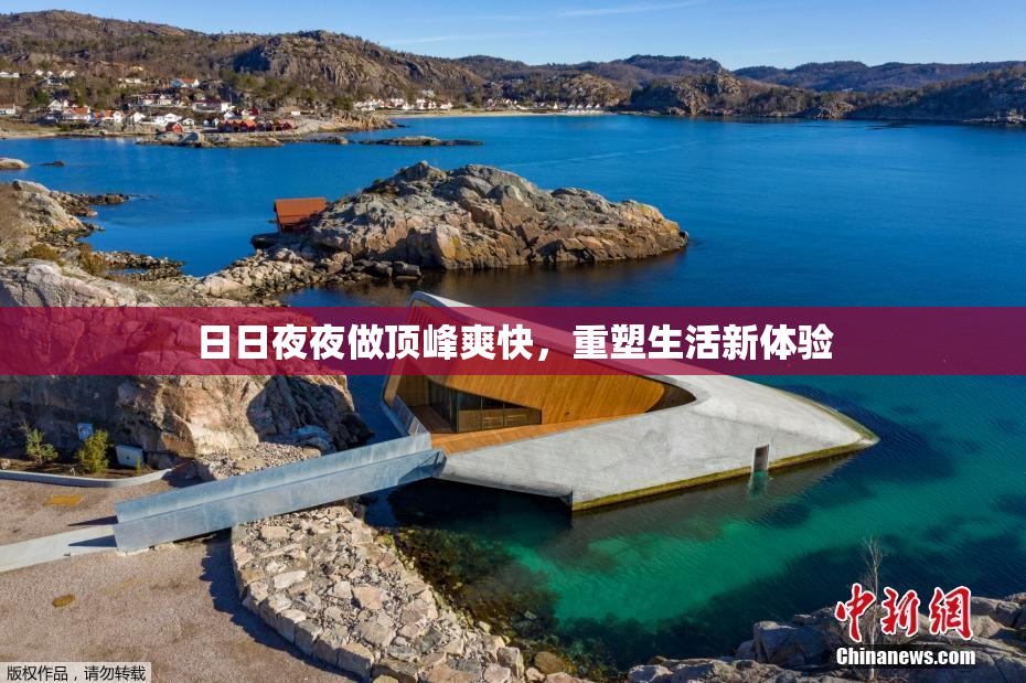 日日夜夜做顶峰爽快，重塑生活新体验