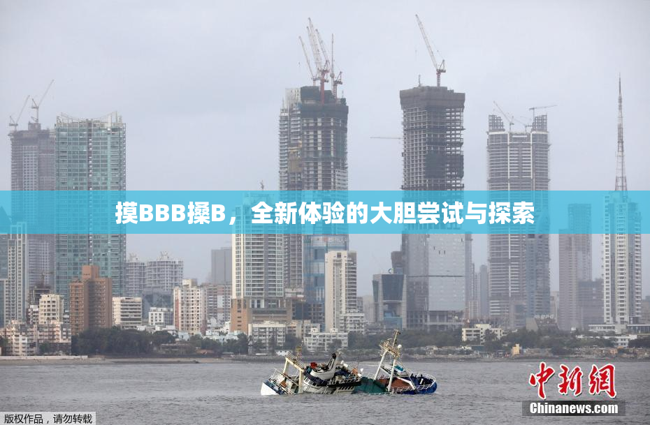 摸BBB搡B，全新体验的大胆尝试与探索