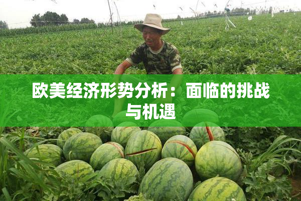 欧美经济形势分析：面临的挑战与机遇
