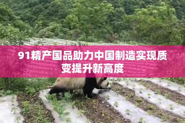 91精产国品助力中国制造实现质变提升新高度