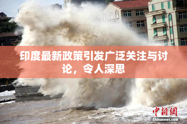 印度最新政策引发广泛关注与讨论，令人深思