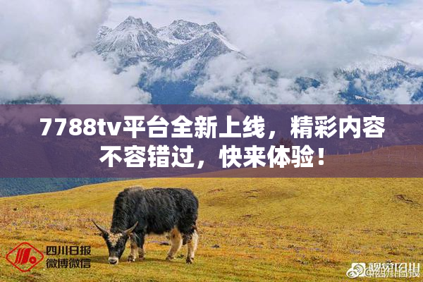 7788tv平台全新上线，精彩内容不容错过，快来体验！