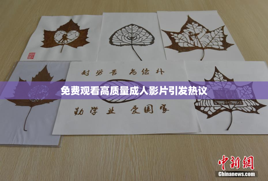免费观看高质量成人影片引发热议