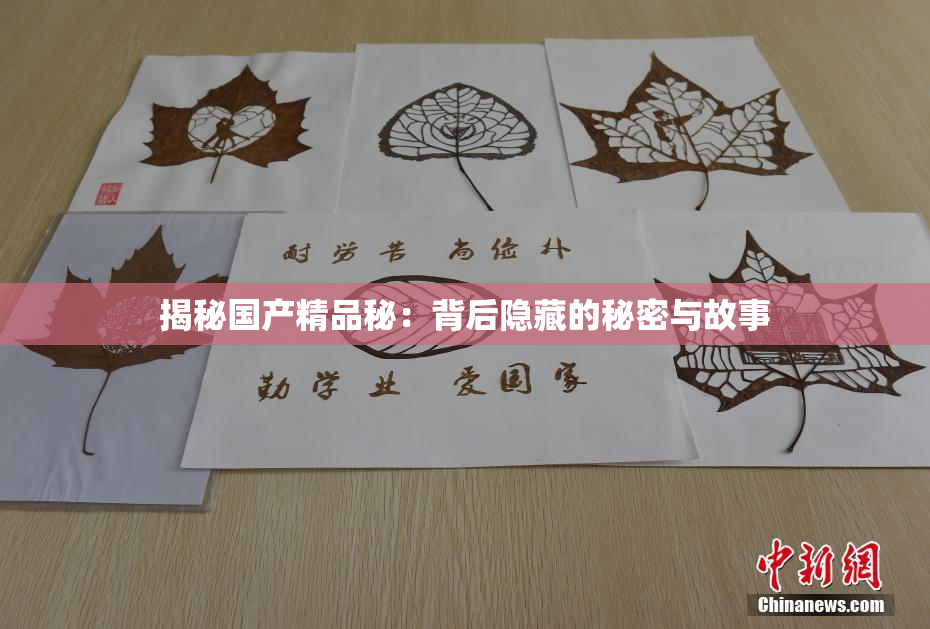 揭秘国产精品秘：背后隐藏的秘密与故事