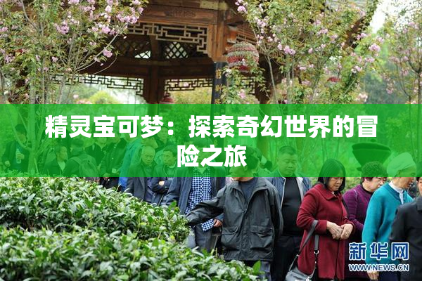 精灵宝可梦：探索奇幻世界的冒险之旅