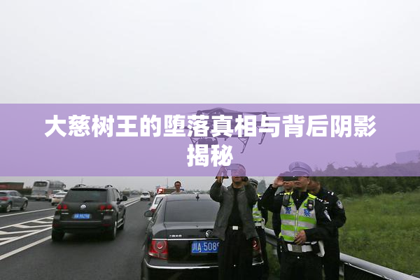 大慈树王的堕落真相与背后阴影揭秘