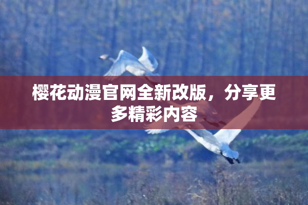 樱花动漫官网全新改版，分享更多精彩内容
