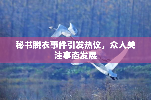秘书脱衣事件引发热议，众人关注事态发展
