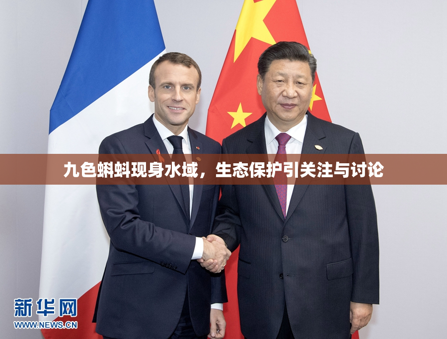 九色蝌蚪现身水域，生态保护引关注与讨论