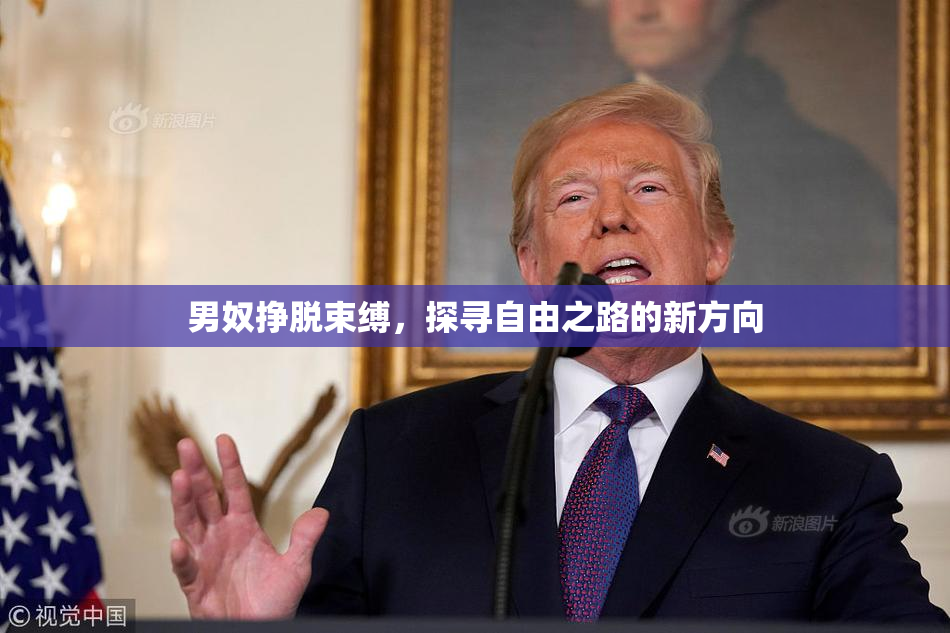 男奴挣脱束缚，探寻自由之路的新方向
