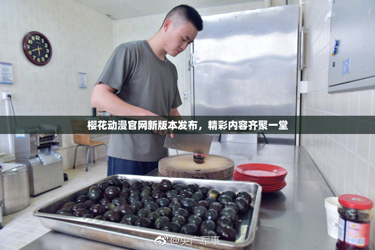 樱花动漫官网新版本发布，精彩内容齐聚一堂