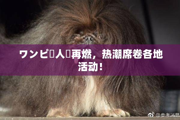 ワンピー人気再燃，热潮席卷各地活动！