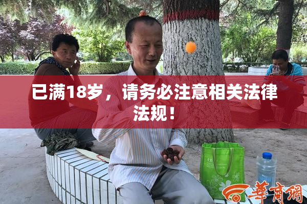 已满18岁，请务必注意相关法律法规！
