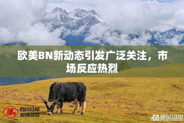 欧美BN新动态引发广泛关注，市场反应热烈