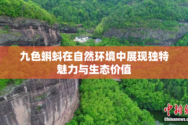 九色蝌蚪在自然环境中展现独特魅力与生态价值