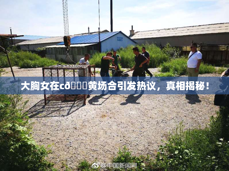 大胸女在c🔞黄场合引发热议，真相揭秘！