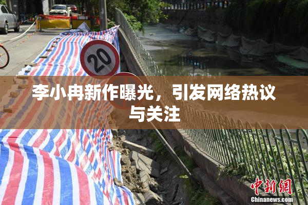 李小冉新作曝光，引发网络热议与关注
