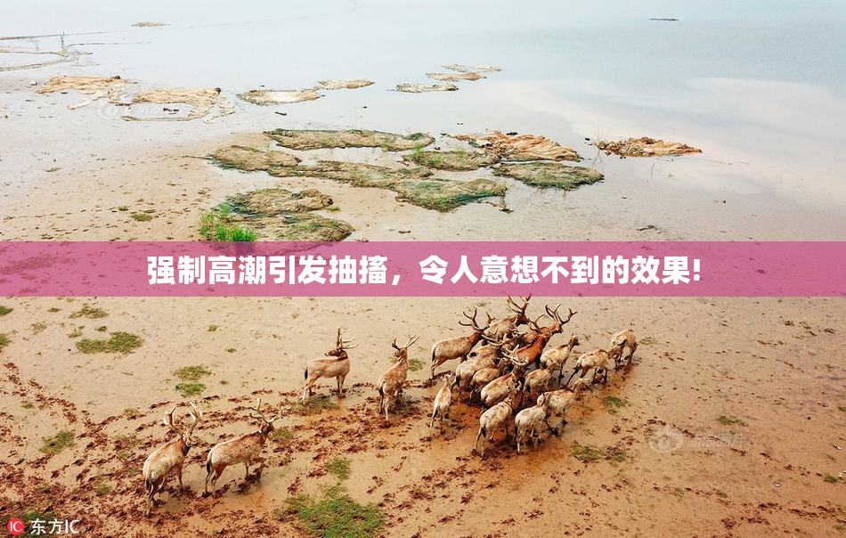 强制高潮引发抽搐，令人意想不到的效果!