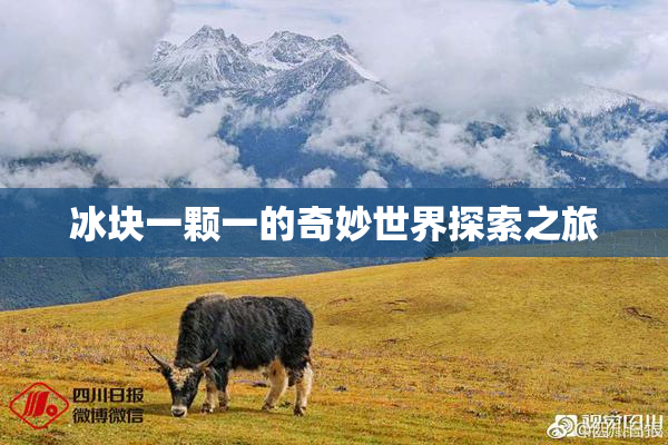 冰块一颗一的奇妙世界探索之旅