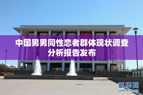 中国男男同性恋者群体现状调查分析报告发布