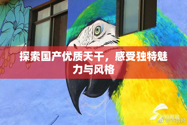探索国产优质天干，感受独特魅力与风格