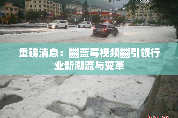 重磅消息：▓蓝莓视频▓引领行业新潮流与变革