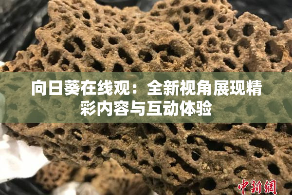 向日葵在线观：全新视角展现精彩内容与互动体验