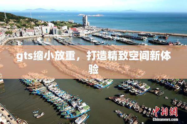gts缩小放重，打造精致空间新体验