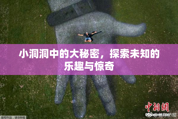 小洞洞中的大秘密，探索未知的乐趣与惊奇