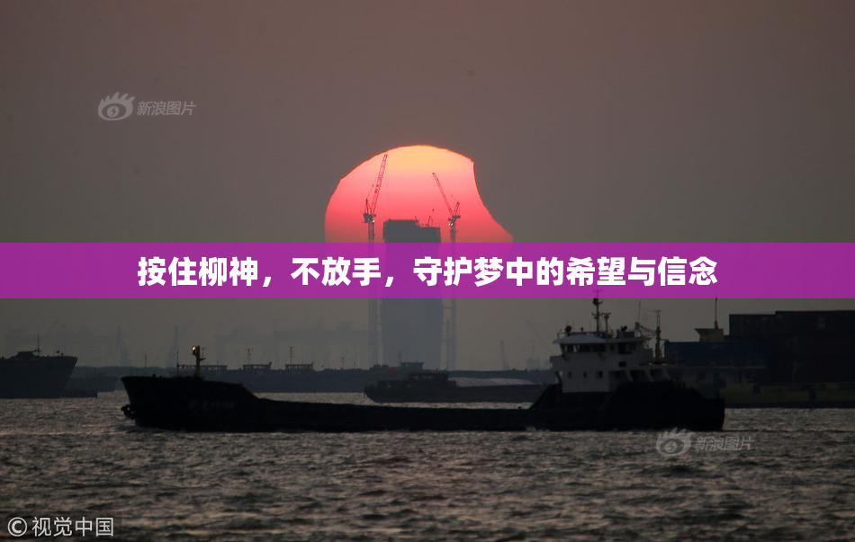 按住柳神，不放手，守护梦中的希望与信念