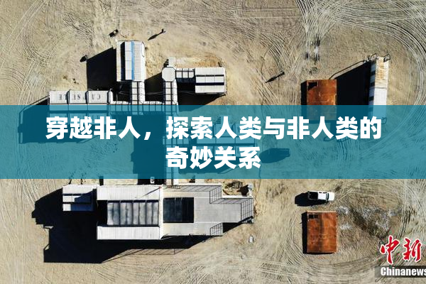 穿越非人，探索人类与非人类的奇妙关系