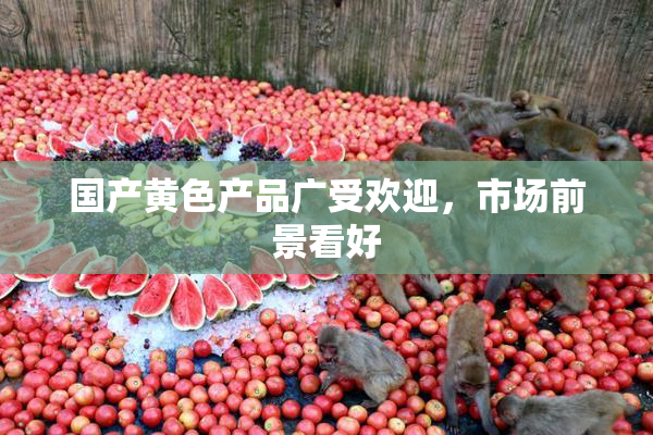 国产黄色产品广受欢迎，市场前景看好