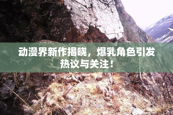 动漫界新作揭晓，爆乳角色引发热议与关注！