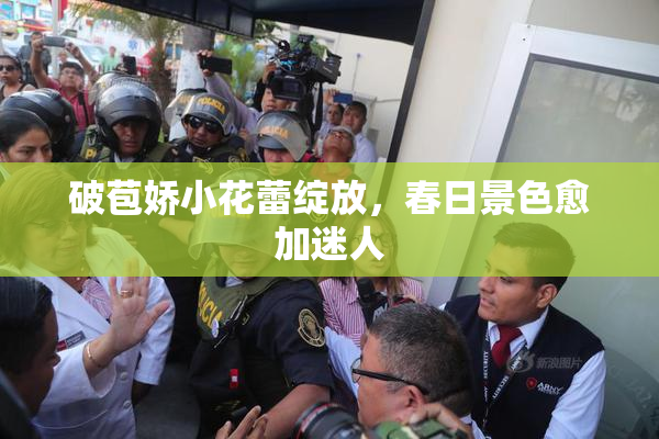 破苞娇小花蕾绽放，春日景色愈加迷人