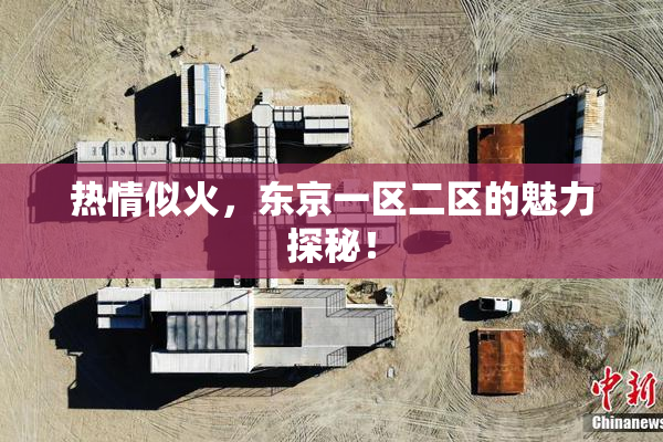 热情似火，东京一区二区的魅力探秘！