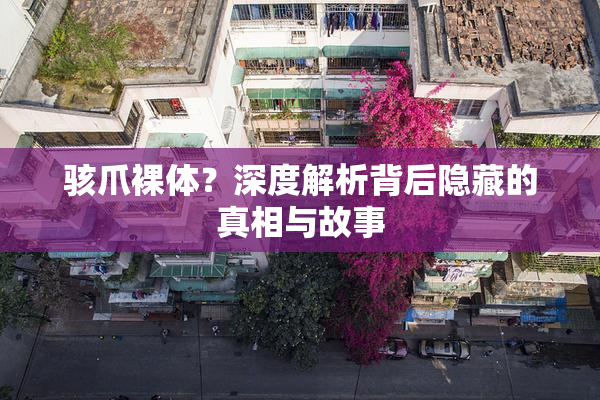 骇爪裸体？深度解析背后隐藏的真相与故事